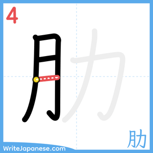 How to write "肋" - stroke 4