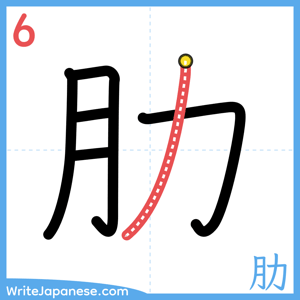 How to write "肋" - stroke 6