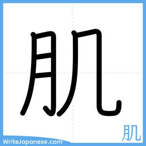How to write "肌" - complete stroke order
