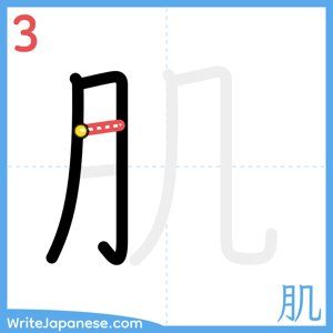 How to write "肌" - stroke 3