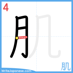 How to write "肌" - stroke 4