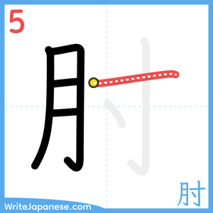 How to write "肘" - stroke 5