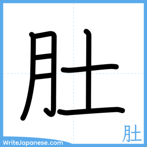 How to write "肚" - complete stroke order