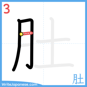 How to write "肚" - stroke 3