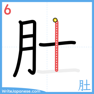 How to write "肚" - stroke 6