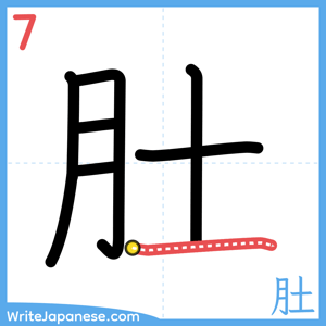 How to write "肚" - stroke 7