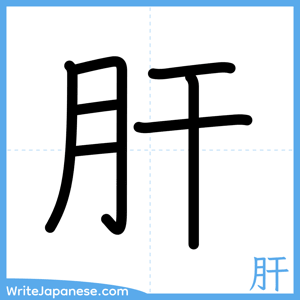 How to write "肝" - complete stroke order