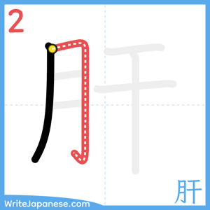 How to write "肝" - stroke 2