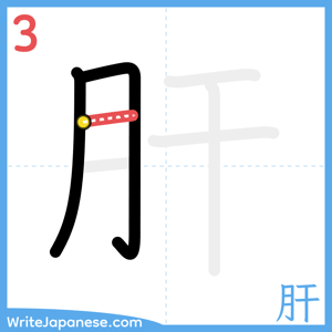 How to write "肝" - stroke 3