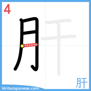 How to write "肝" - stroke 4