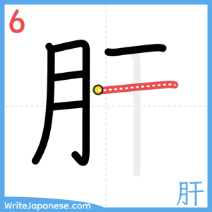 How to write "肝" - stroke 6