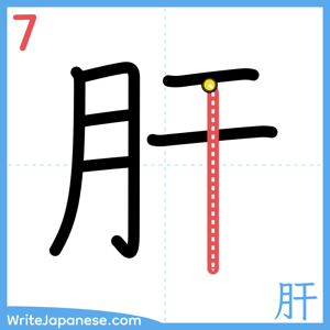 How to write "肝" - stroke 7