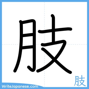 How to write "肢" - complete stroke order