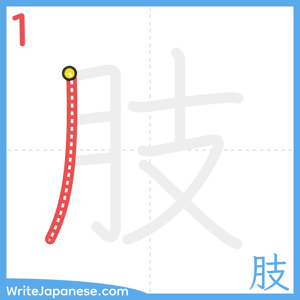 How to write "肢" - stroke 1