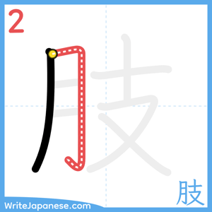 How to write "肢" - stroke 2