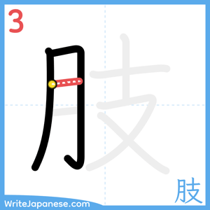 How to write "肢" - stroke 3