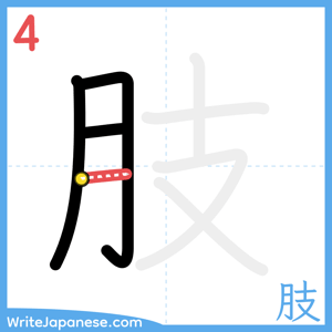 How to write "肢" - stroke 4