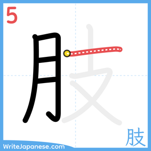 How to write "肢" - stroke 5