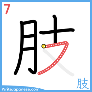 How to write "肢" - stroke 7