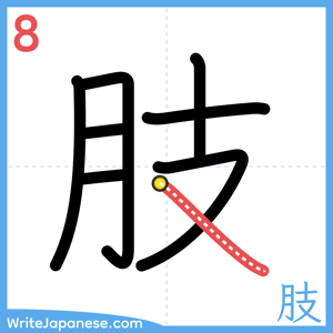 How to write "肢" - stroke 8