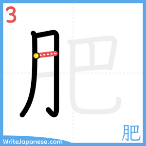 How to write "肥" - stroke 3