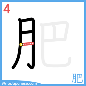 How to write "肥" - stroke 4