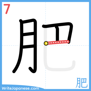 How to write "肥" - stroke 7