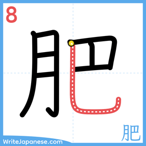 How to write "肥" - stroke 8