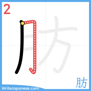 How to write "肪" - stroke 2