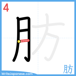 How to write "肪" - stroke 4
