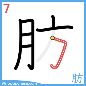 How to write "肪" - stroke 7