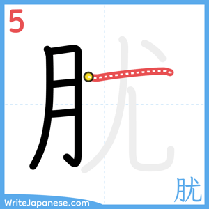 How to write "肬" - stroke 5