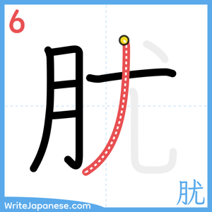 How to write "肬" - stroke 6