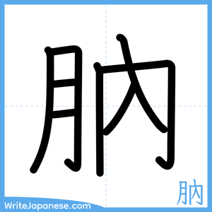 How to write "肭" - complete stroke order