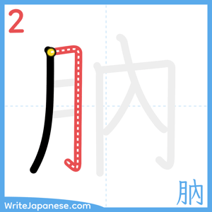 How to write "肭" - stroke 2