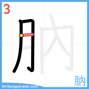 How to write "肭" - stroke 3
