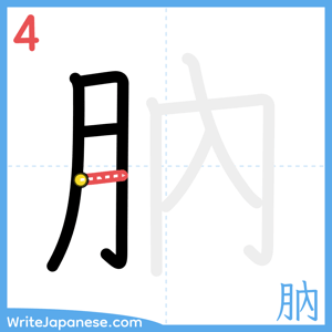 How to write "肭" - stroke 4