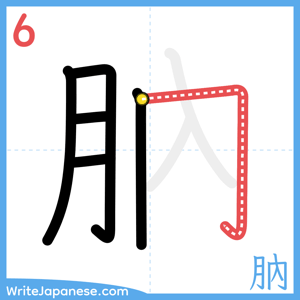 How to write "肭" - stroke 6