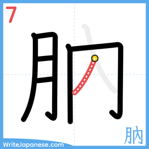 How to write "肭" - stroke 7