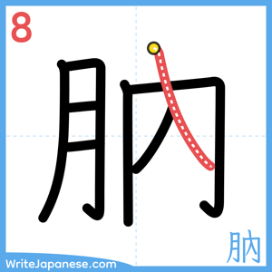 How to write "肭" - stroke 8