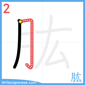 How to write "肱" - stroke 2