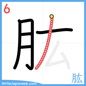 How to write "肱" - stroke 6