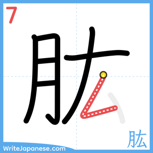 How to write "肱" - stroke 7