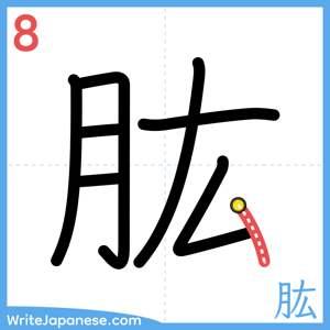 How to write "肱" - stroke 8