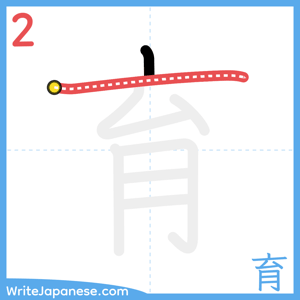 How to write "育" - stroke 2