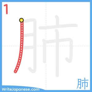 How to write "肺" - stroke 1