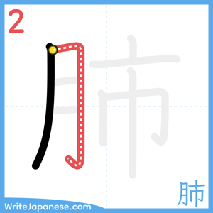 How to write "肺" - stroke 2