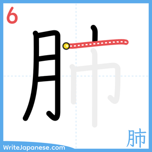 How to write "肺" - stroke 6
