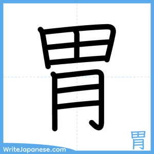 How to write "胃" - complete stroke order