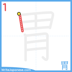 How to write "胃" - stroke 1